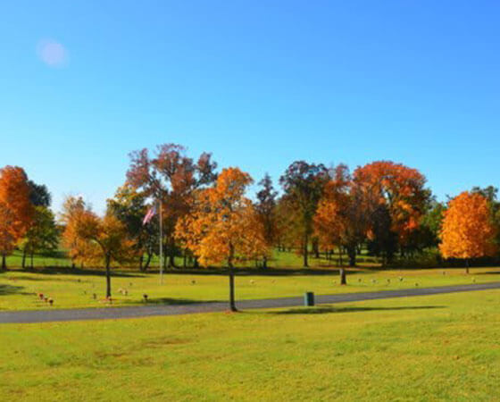 Minimal Environmental Impact Text over Landscaping and trees